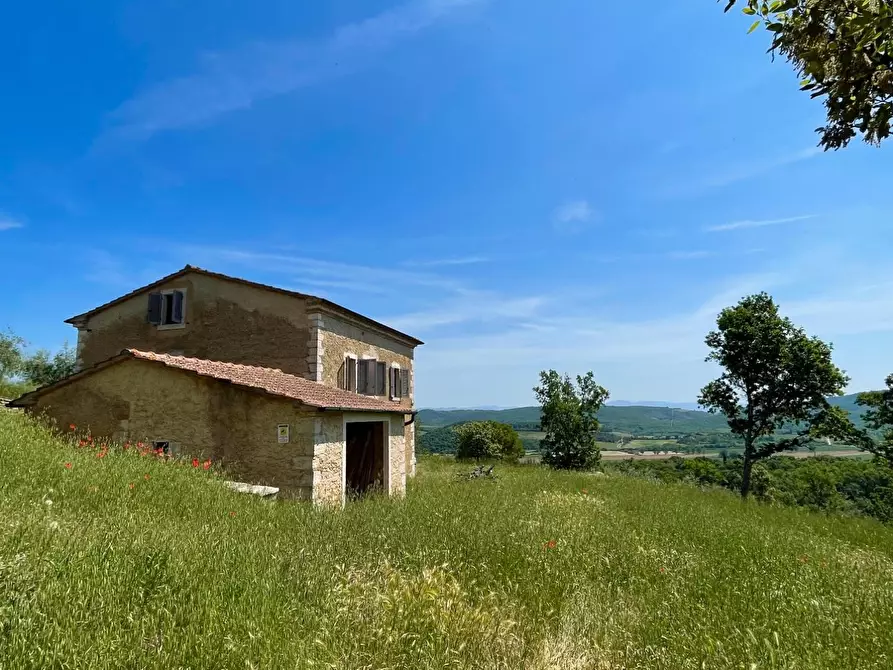 Immagine 6 di Casa colonica in vendita  a Rapolano Terme