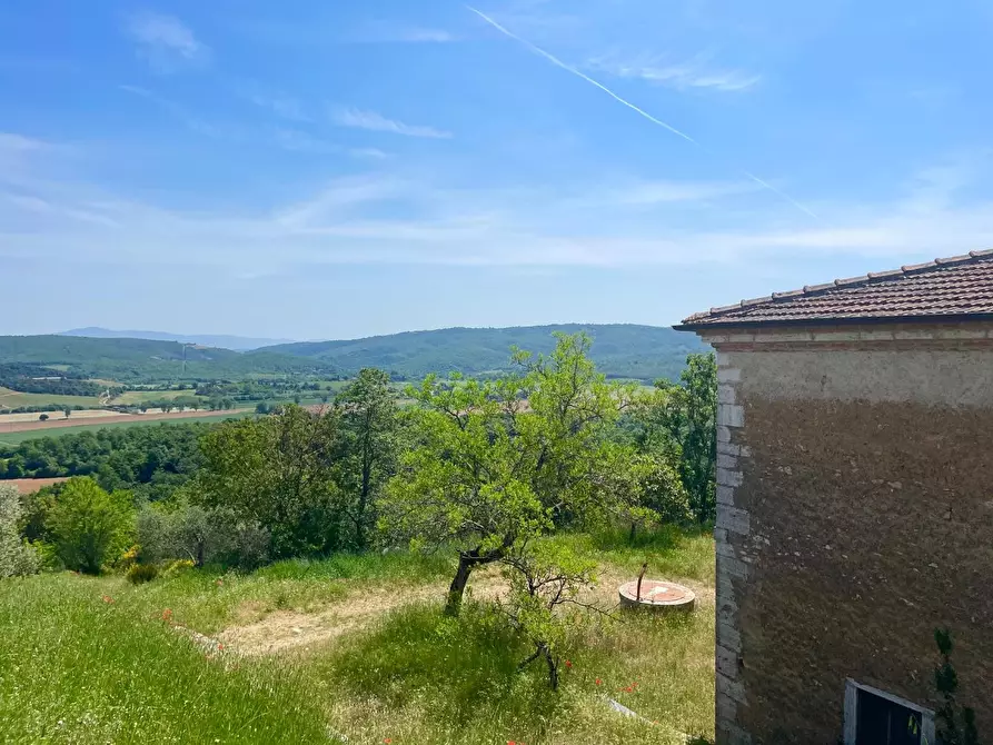 Immagine 20 di Casa colonica in vendita  a Rapolano Terme