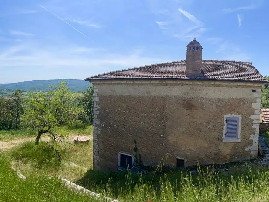 Immagine 22 di Casa colonica in vendita  a Rapolano Terme