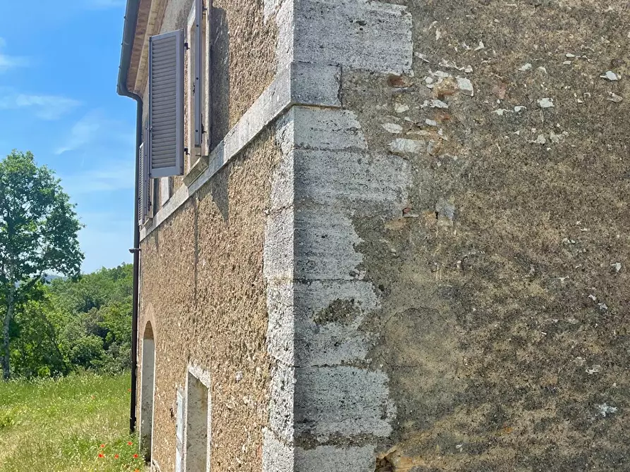 Immagine 23 di Casa colonica in vendita  a Rapolano Terme