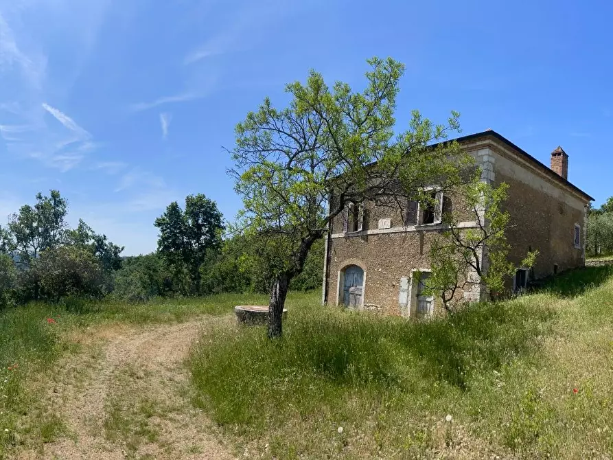 Immagine 17 di Casa colonica in vendita  a Rapolano Terme