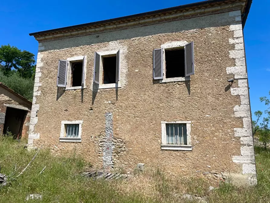 Immagine 24 di Casa colonica in vendita  a Rapolano Terme