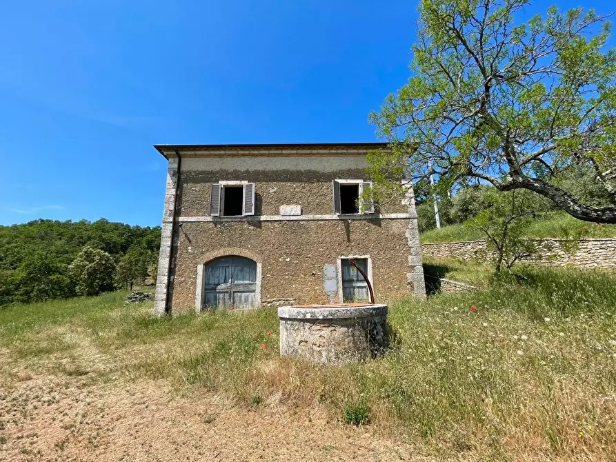 Immagine 13 di Casa colonica in vendita  a Rapolano Terme