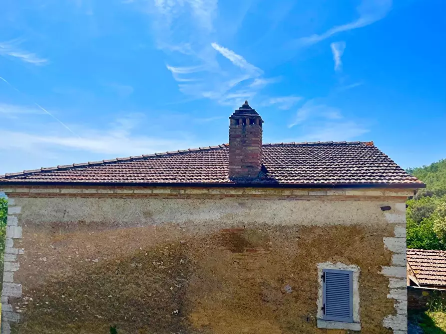 Immagine 25 di Casa colonica in vendita  a Rapolano Terme