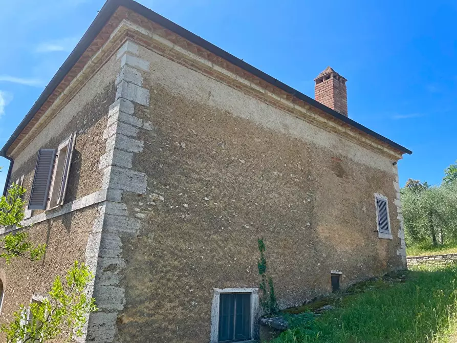 Immagine 16 di Casa colonica in vendita  a Rapolano Terme
