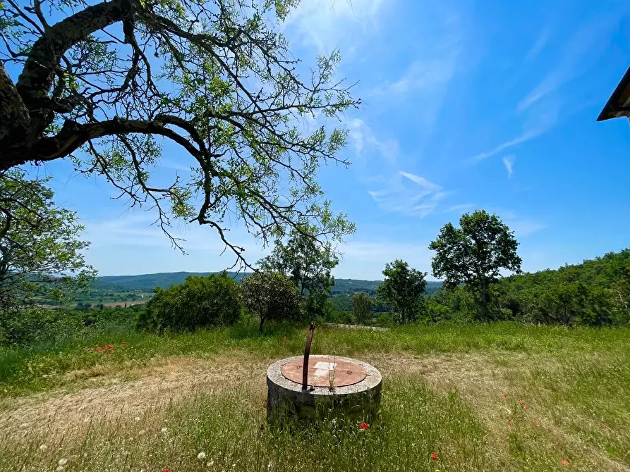 Immagine 14 di Casa colonica in vendita  a Rapolano Terme