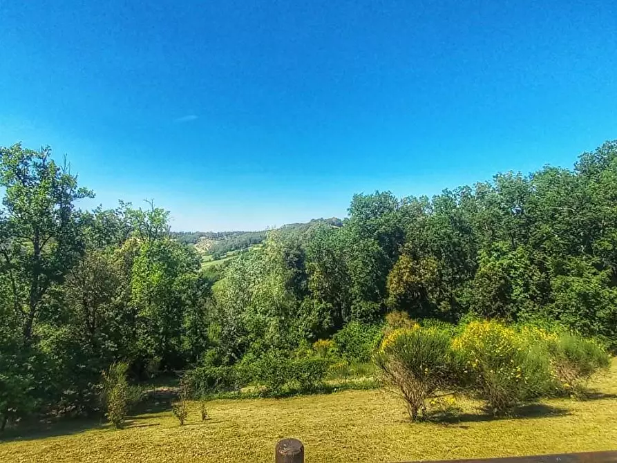 Immagine 24 di Villetta a schiera in vendita  a Gambassi Terme