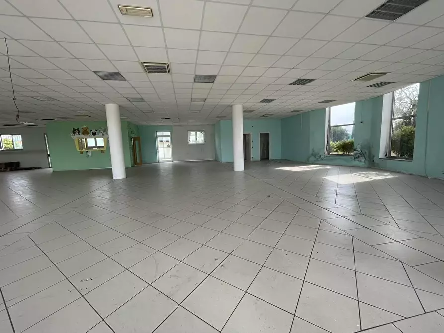 Immagine 2 di Locale commerciale in affitto  a Altopascio