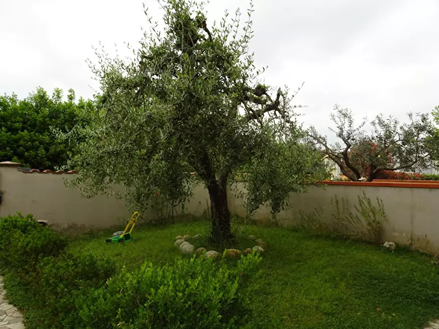 Immagine 19 di Appartamento in vendita  a Casciana Terme Lari