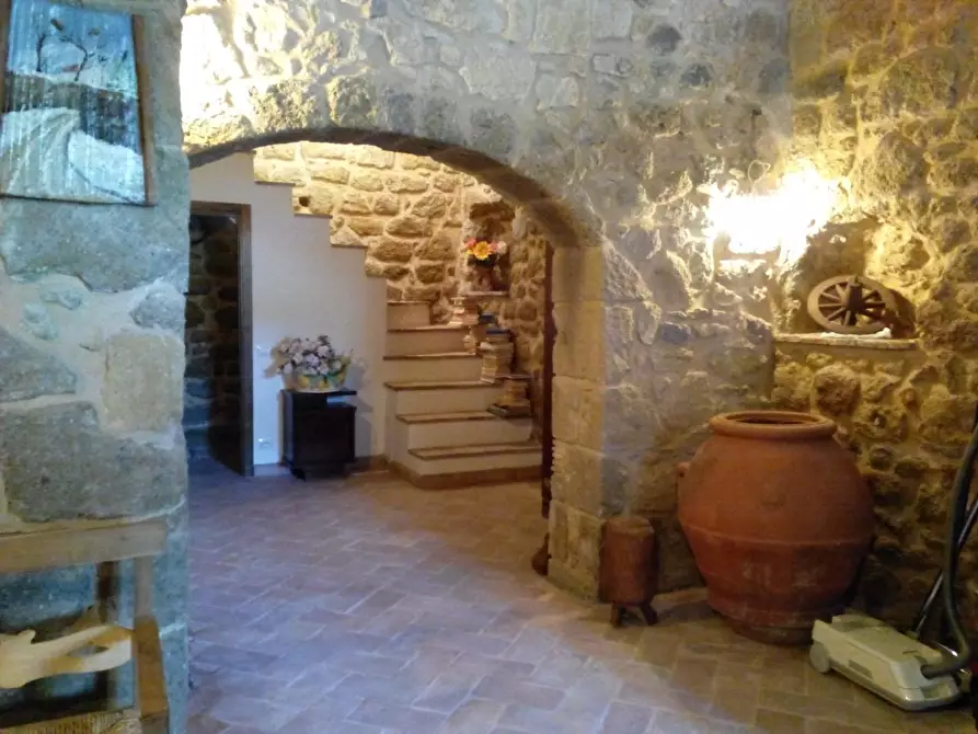 Immagine 29 di Terratetto in vendita  a Sorano