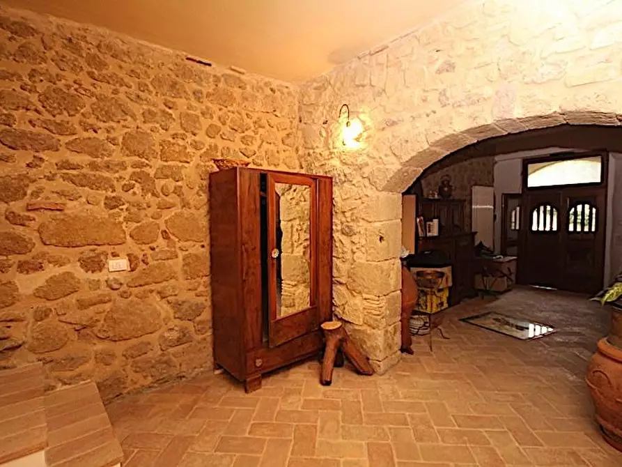 Immagine 21 di Terratetto in vendita  a Sorano