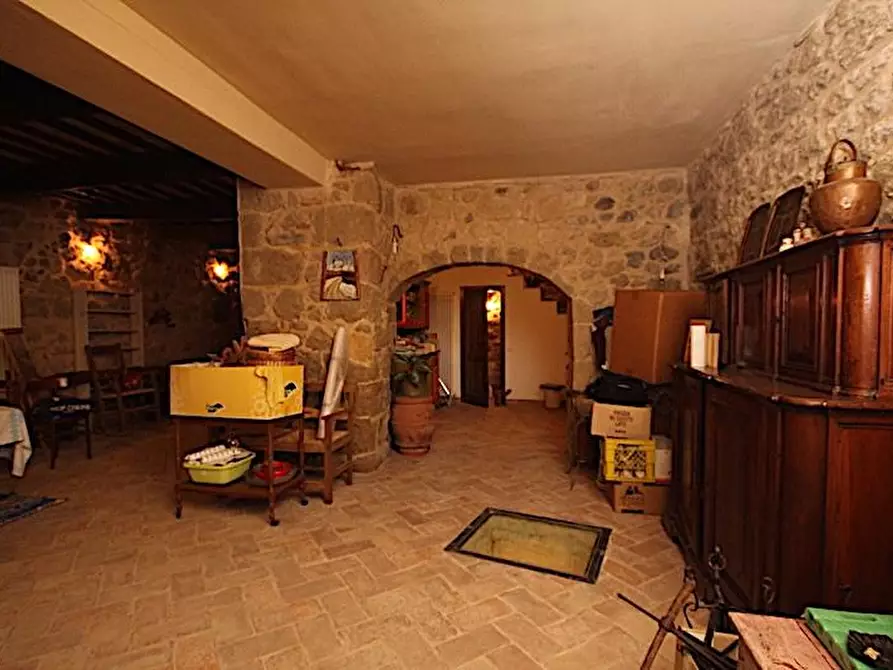 Immagine 25 di Terratetto in vendita  a Sorano