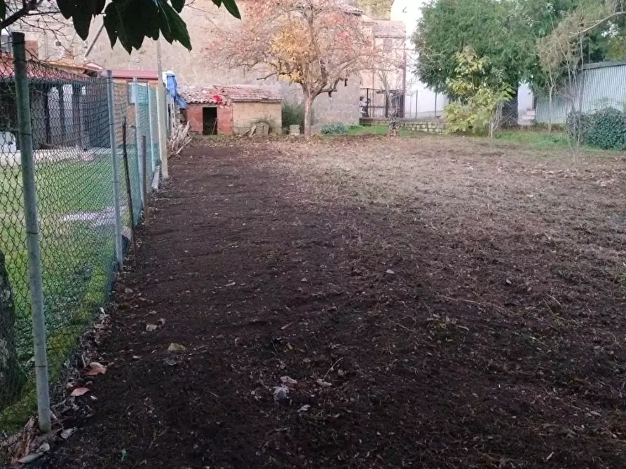 Immagine 2 di Casa bifamiliare in vendita  a Sorano