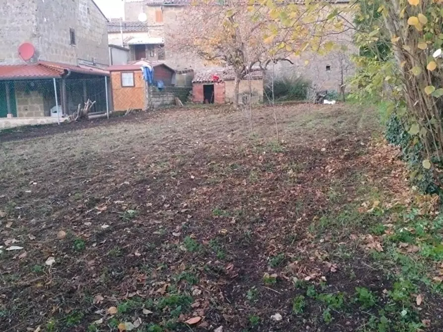 Immagine 9 di Casa bifamiliare in vendita  a Sorano