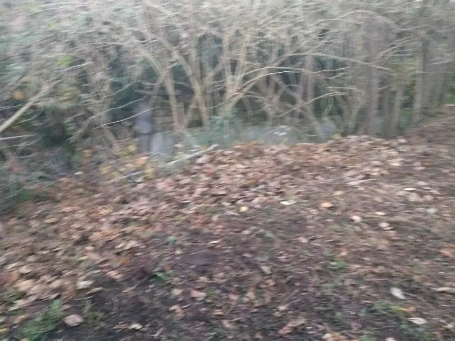 Immagine 14 di Casa bifamiliare in vendita  a Sorano