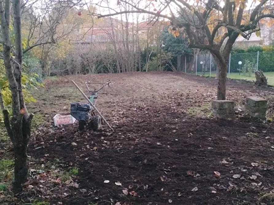 Immagine 13 di Casa bifamiliare in vendita  a Sorano