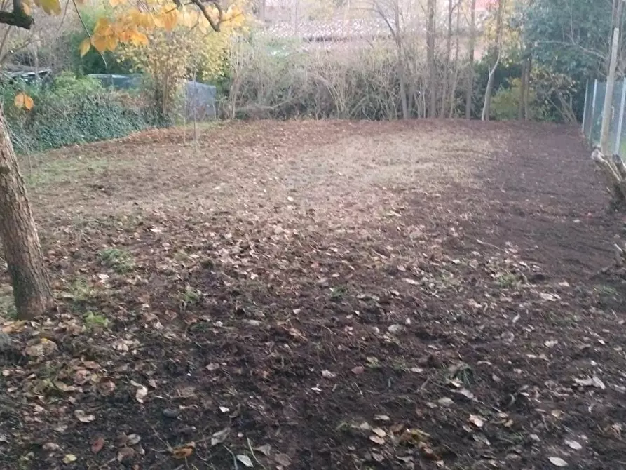 Immagine 17 di Casa bifamiliare in vendita  a Sorano