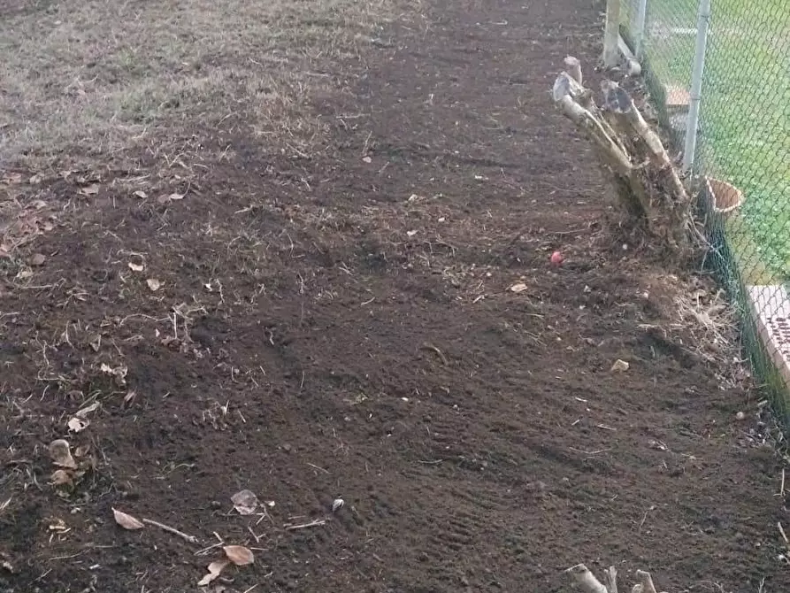 Immagine 18 di Casa bifamiliare in vendita  a Sorano