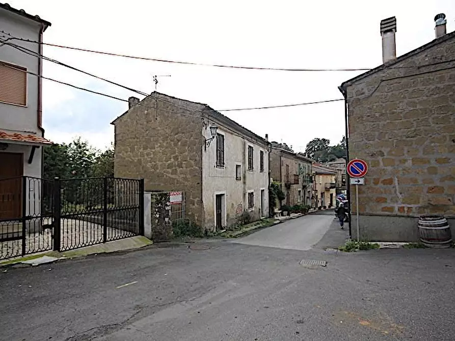 Immagine 1 di Casa bifamiliare in vendita  a Sorano