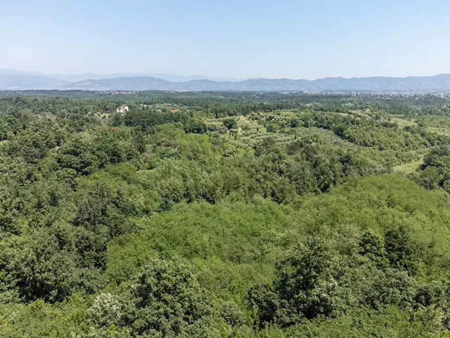 Immagine 2 di Villa in vendita  a Fucecchio