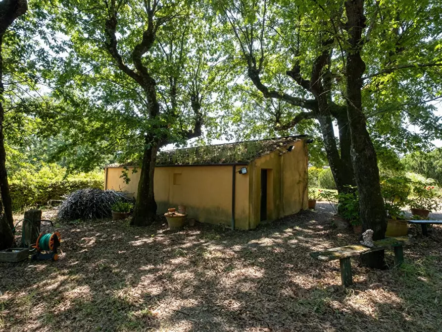 Immagine 11 di Villa in vendita  a Fucecchio