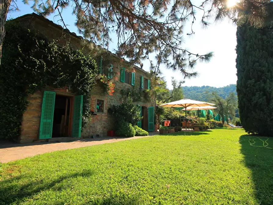 Immagine 4 di Casa colonica in vendita  a Larciano