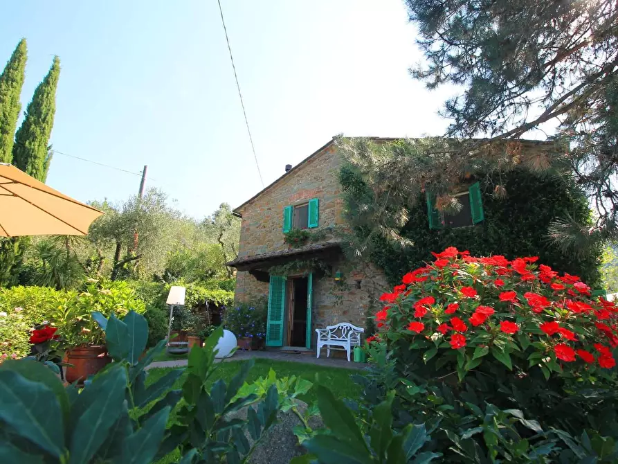 Immagine 38 di Casa colonica in vendita  a Larciano