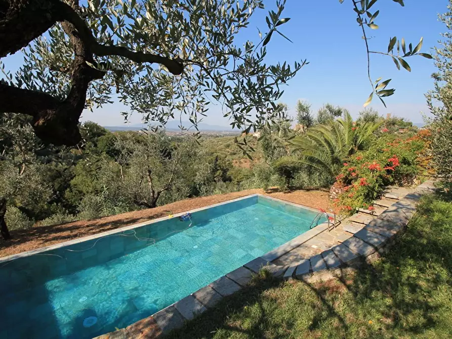 Immagine 3 di Casa colonica in vendita  a Larciano