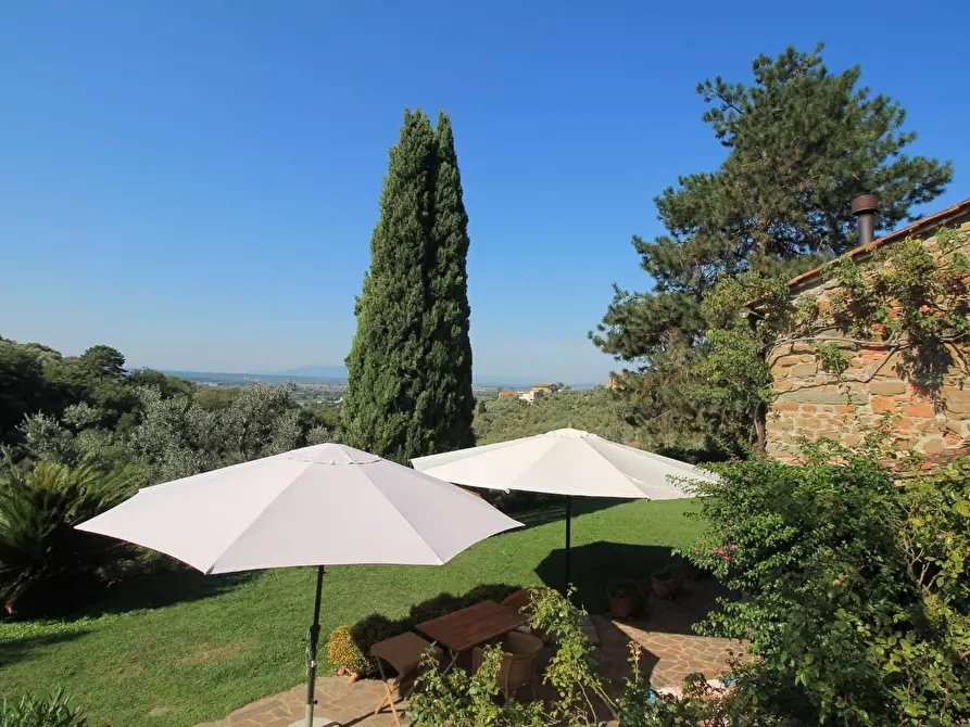 Immagine 8 di Casa colonica in vendita  a Larciano