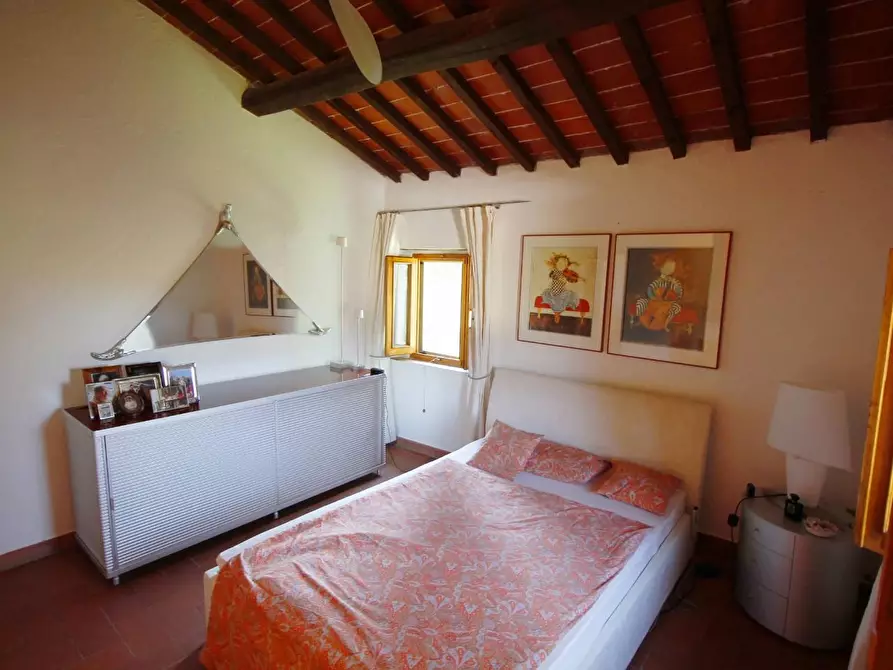 Immagine 18 di Casa colonica in vendita  a Larciano