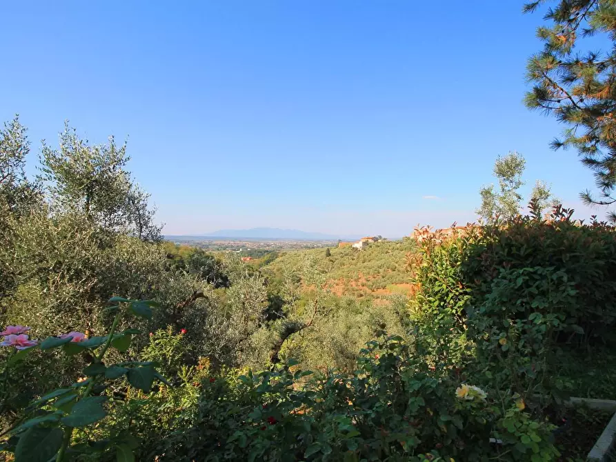 Immagine 6 di Casa colonica in vendita  a Larciano