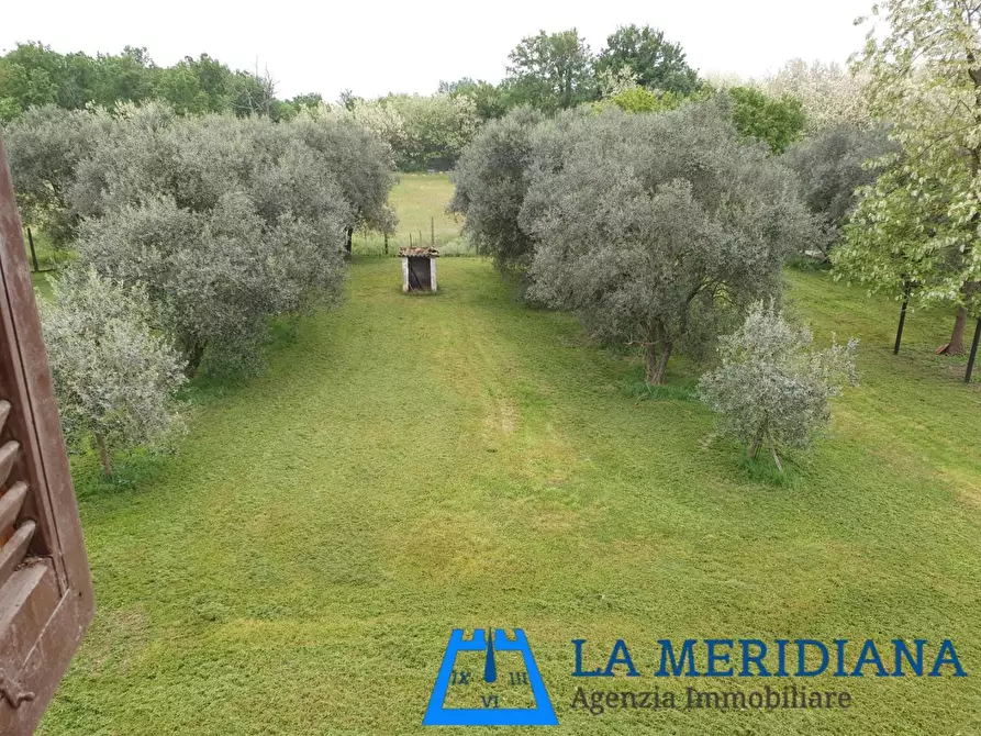 Immagine 30 di Terratetto in vendita  a Fucecchio