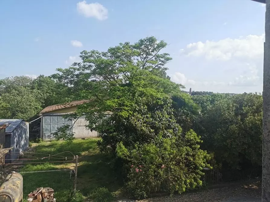 Immagine 12 di Rustico / casale in vendita  a Santa Maria A Monte