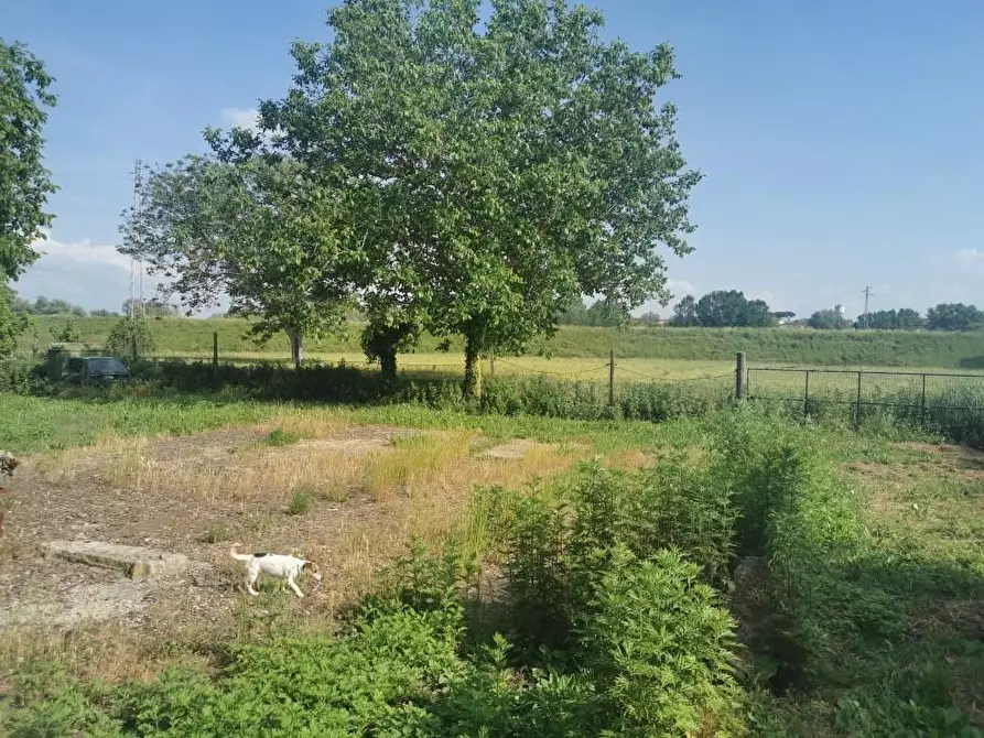 Immagine 3 di Rustico / casale in vendita  a Santa Maria A Monte