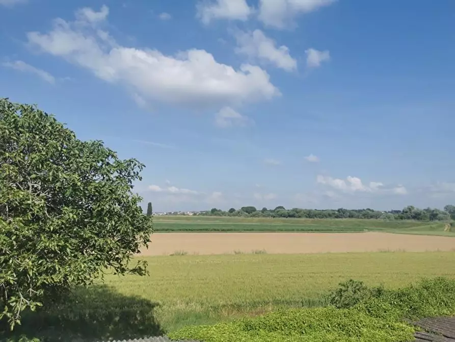 Immagine 11 di Rustico / casale in vendita  a Santa Maria A Monte