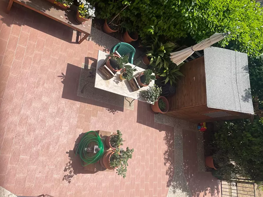 Immagine 24 di Terratetto in vendita  a Asciano