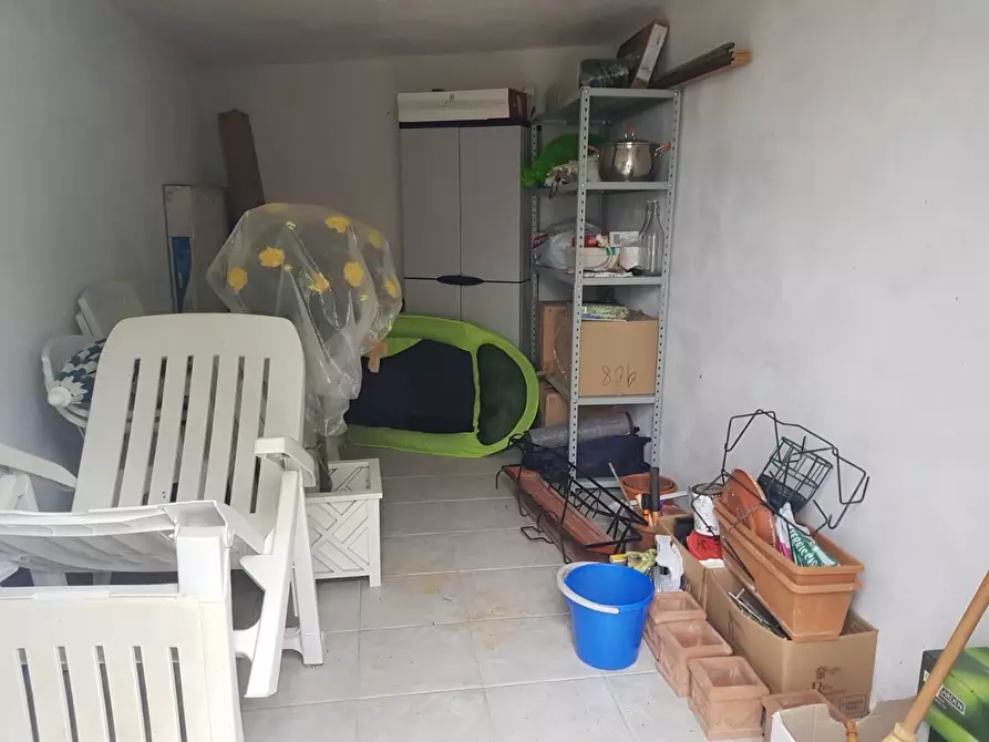 Immagine 5 di Appartamento in vendita  a Peccioli