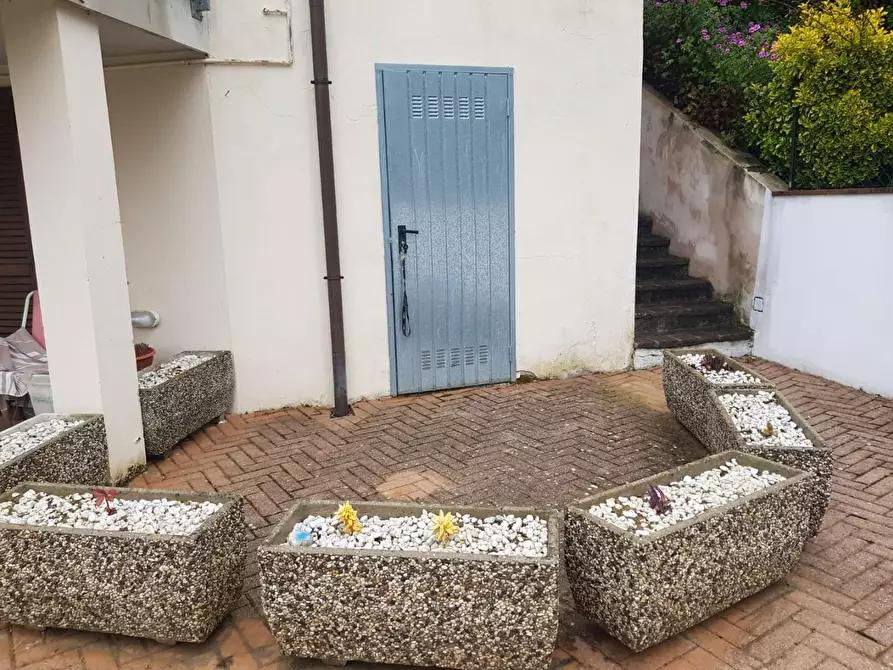 Immagine 4 di Appartamento in vendita  a Peccioli