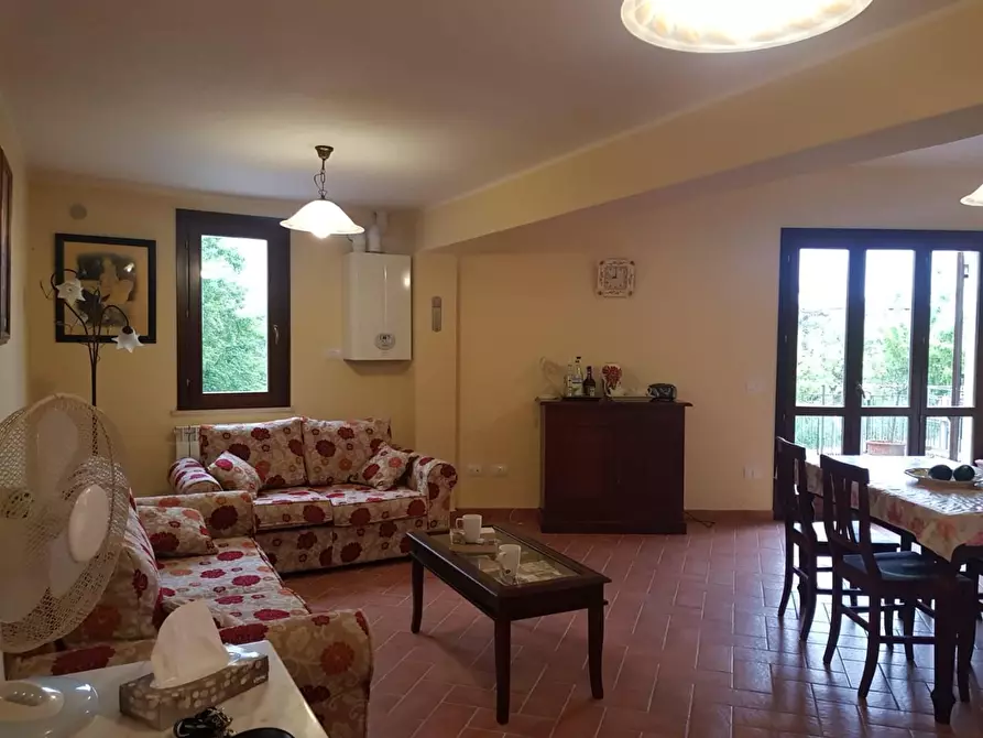 Immagine 6 di Appartamento in vendita  a Peccioli