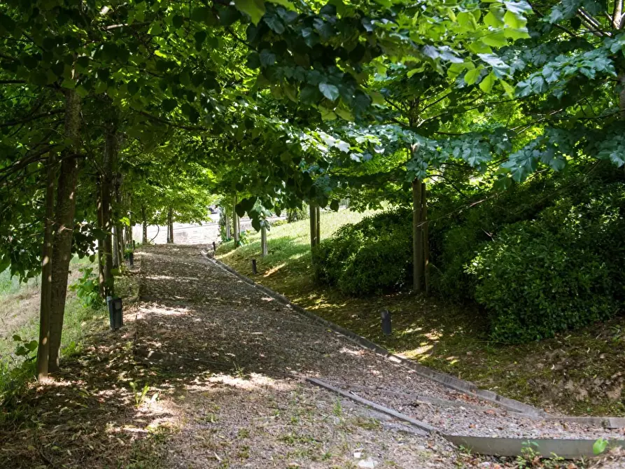 Immagine 4 di Immobile di prestigio in vendita  a Pisa