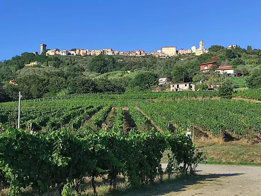 Immagine 53 di Agriturismo in vendita  a Castelnuovo Magra