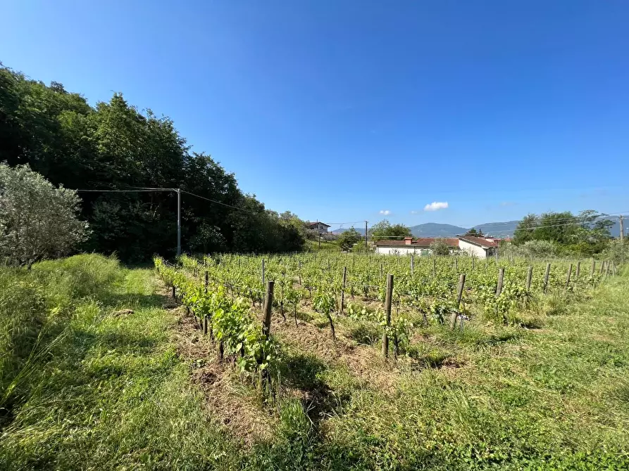 Immagine 9 di Agriturismo in vendita  a Castelnuovo Magra