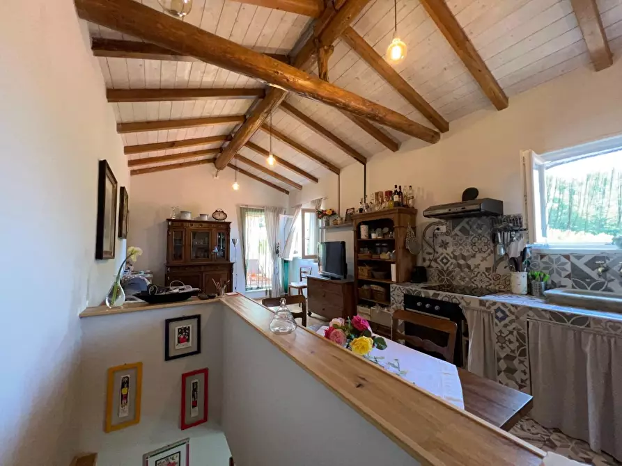 Immagine 41 di Agriturismo in vendita  a Castelnuovo Magra