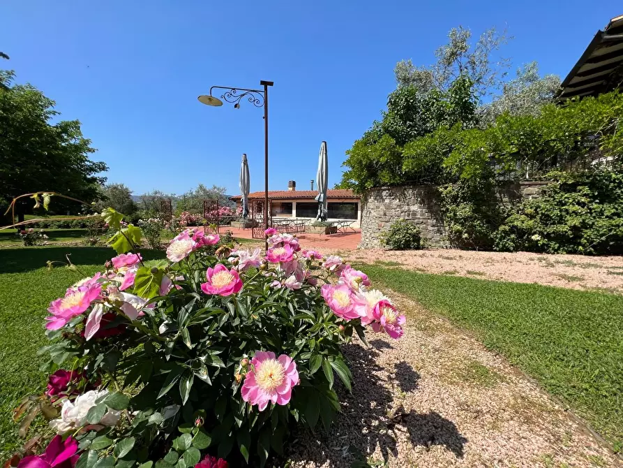 Immagine 47 di Agriturismo in vendita  a Castelnuovo Magra