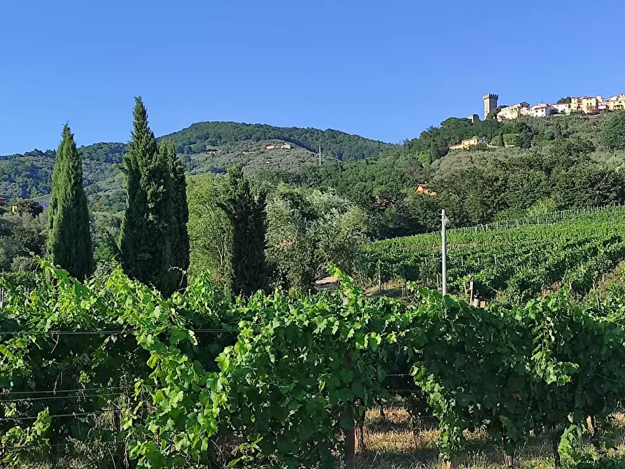 Immagine 52 di Agriturismo in vendita  a Castelnuovo Magra