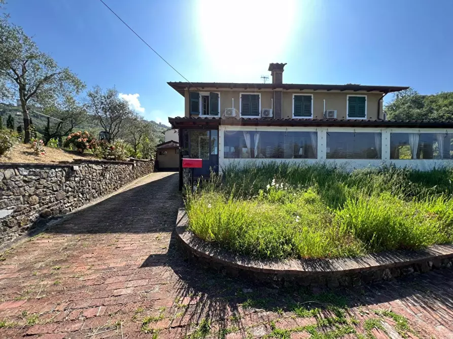 Immagine 12 di Agriturismo in vendita  a Castelnuovo Magra