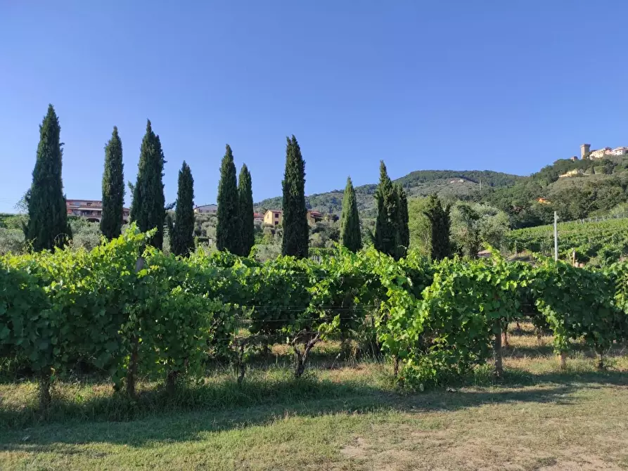 Immagine 55 di Agriturismo in vendita  a Castelnuovo Magra