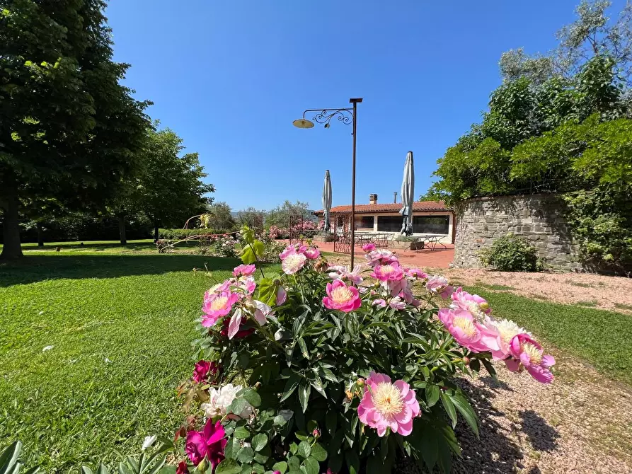 Immagine 46 di Agriturismo in vendita  a Castelnuovo Magra