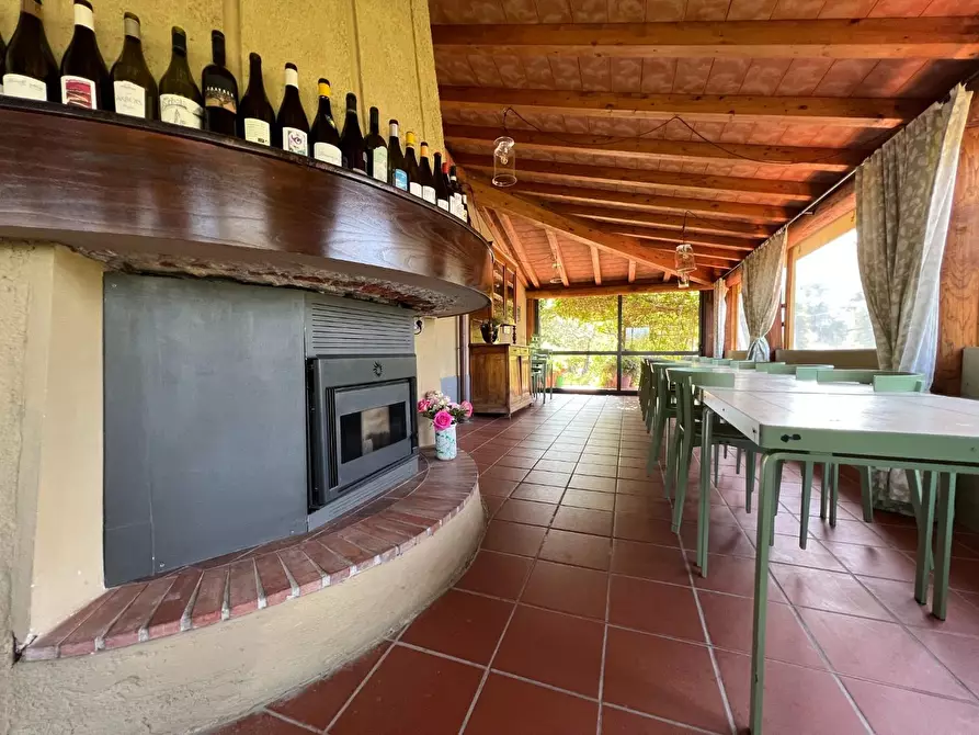 Immagine 16 di Agriturismo in vendita  a Castelnuovo Magra