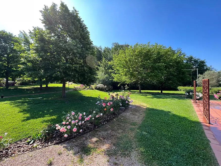 Immagine 8 di Agriturismo in vendita  a Castelnuovo Magra